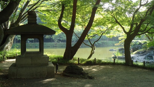 Un peu de zen dans un monde de modernité...